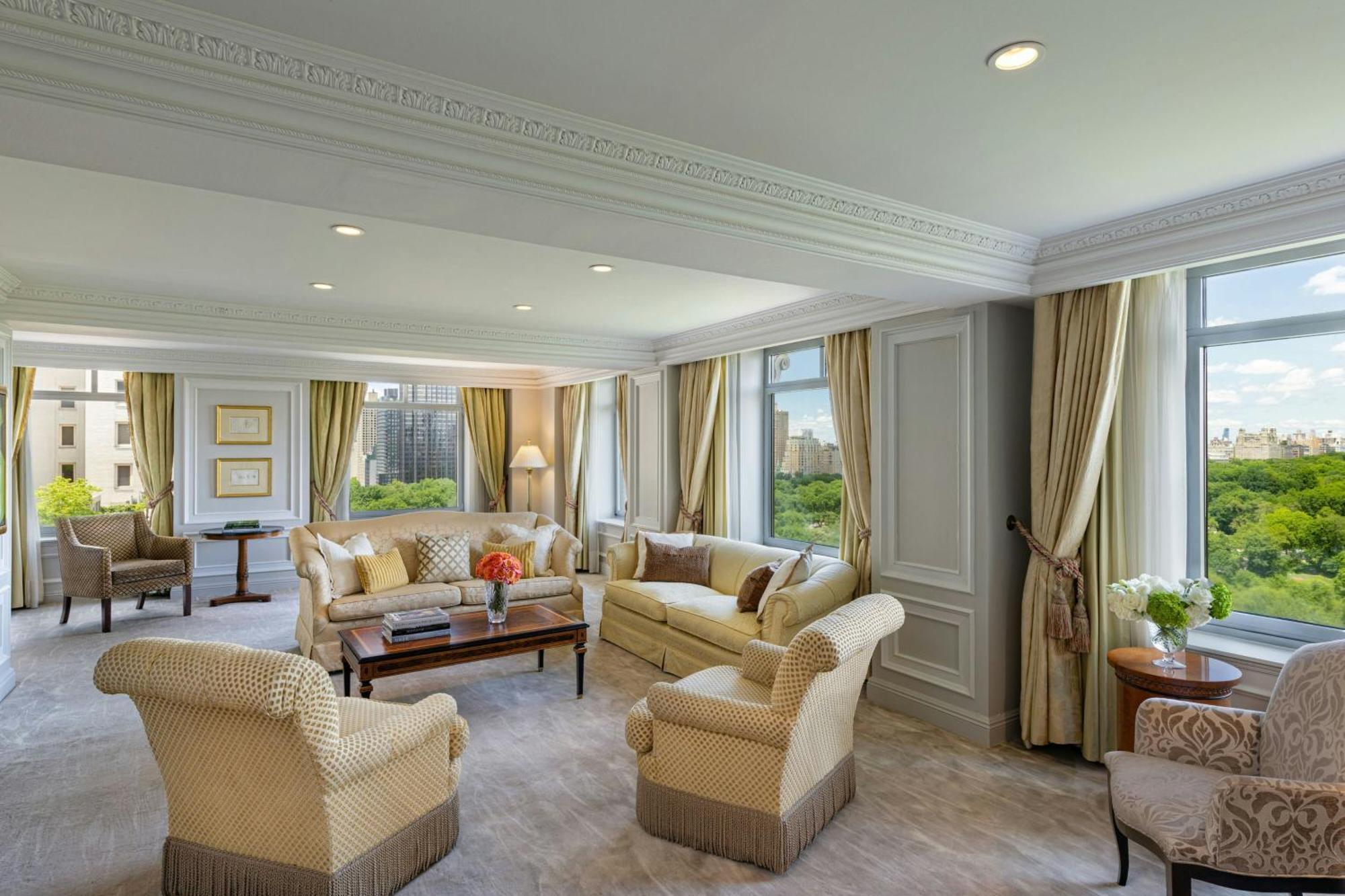 Hotel The Ritz-carlton New York, Park